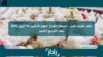 حقك تعرف الآن.. أسعار الفراخ اليوم الإثنين 14 أبريل 2025 بعد التراجع الكبير